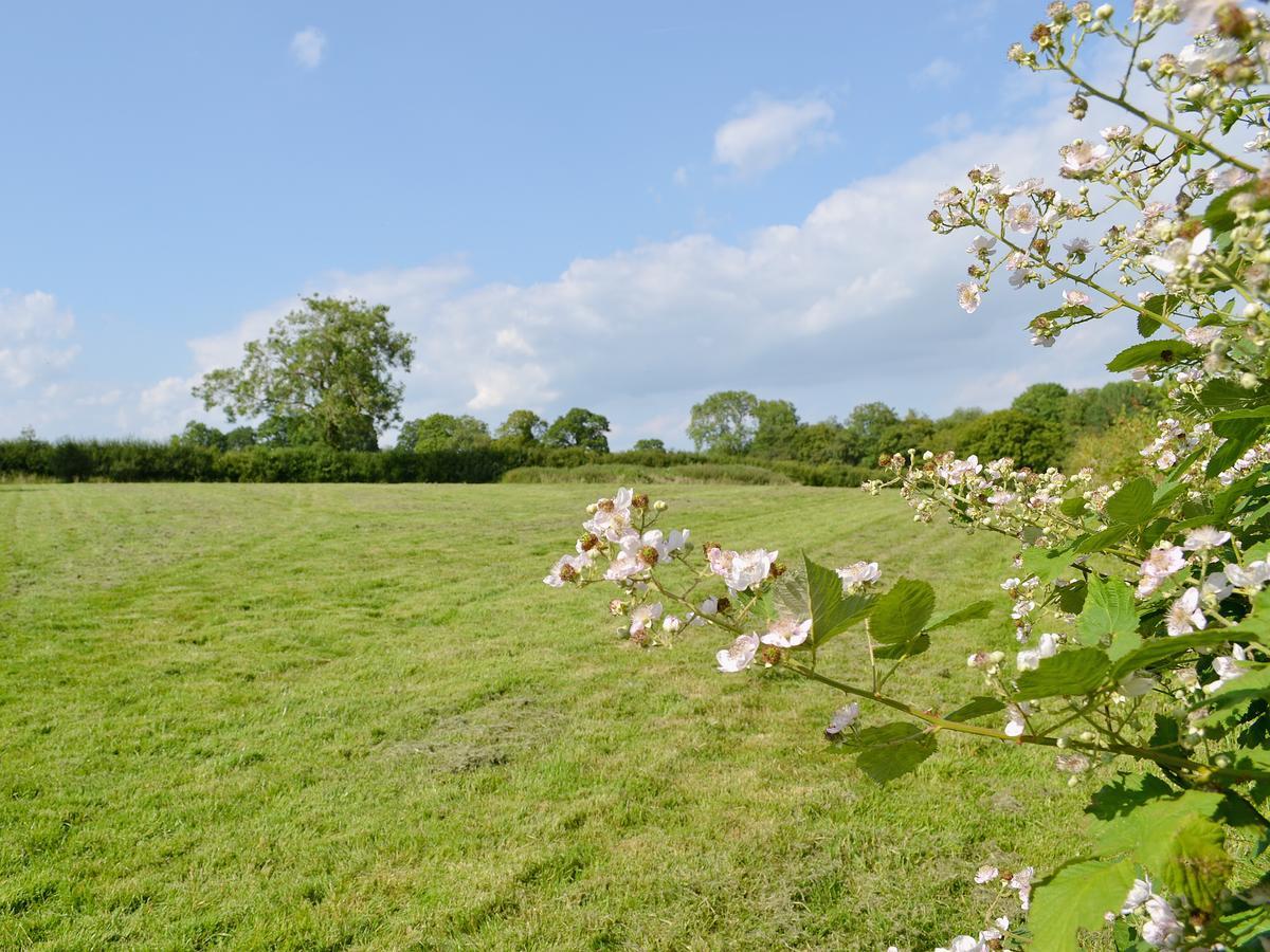 Tiger Villa Horsted Keynes Exterior photo